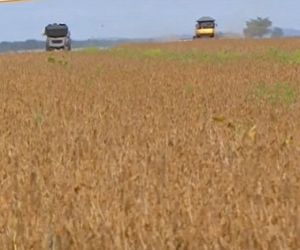 Produtores comemoram federalização de rodovias no cerrado piauiense