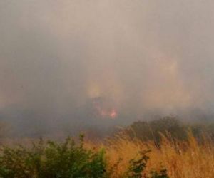 Incêndio florestal já dura dois dias e atinge dois municípios do PI