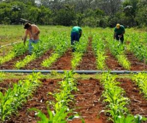 Aumento de benefícios a produtor rural pode ser vetado, diz secretário