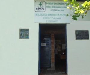 Campanha de vacinação contra a Febre Aftosa se encerra nesta quarta em Floriano