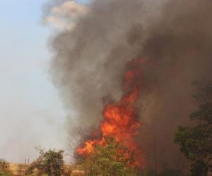 Piauí teve de dois a três incêndios a cada dia de julho, diz Corpo de Bombeiros