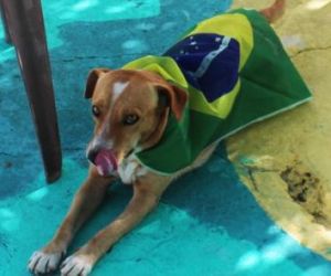 Mascote da Copa vira herói e usa capa do Brasil para sorte