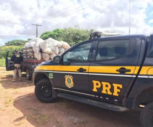 PRF apreende carvão vegetal sem nota fiscal e sem licença ambiental na BR 402