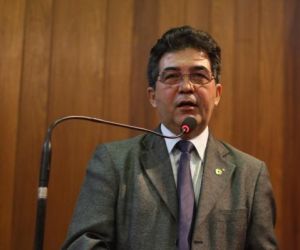 Líder do Governo destaca a produção de energia eólica no Piauí