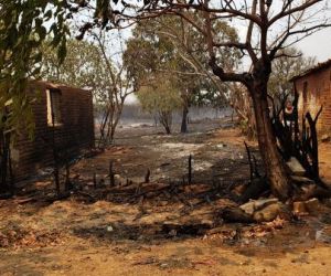 PI: Moradores abandonam casas após fogo em mata que já dura 7 dias avançar
