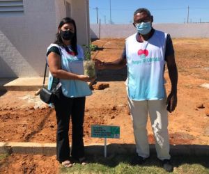 Projeto Recordar homenageia vítimas da Covid-19 com plantio de mudas