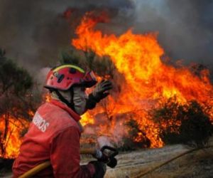 Bombeiros revelam que quase 100% dos incêndios no B-R-Ó BRO são criminosos