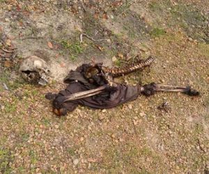 Cadáver em estado avançado de decomposição é encontrado no bairro Alto da Guia