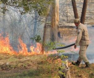 Incêndio atinge Floresta Fóssil e ameaça invadir Parque Potycabana