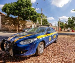 Idoso foragido da justiça de Minas Gerais é preso em Piripiri
