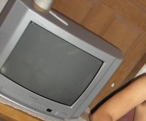 Secretaria distribui 100 mil mudas de árvores para a população de Teresina