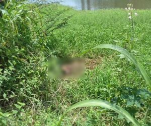 Corpo em decomposição é encontrado às margens do rio poti