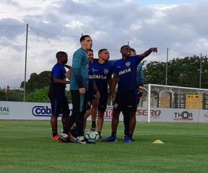 Botafogo estreia na Copa do Brasil e tenta consolidar reação