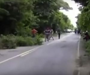 BR-135: moradores se mobilizam para capinar margem da estrada