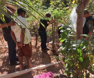 Operação Vale do Gurgueia prende suspeitos de tráfico no Sul do Estado