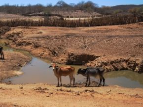 Prefeituras de 200 cidades atingidas pela seca no PI fecham em protesto
