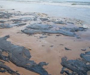 Semar recolhe 100kg de óleo no litoral e descarta interdição das praias no Piauí