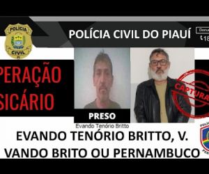Suspeito de contratar pistoleiros para matar empresário no PI é preso no PE