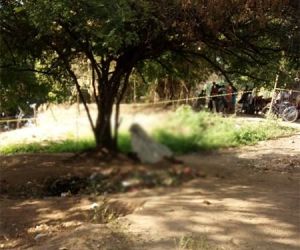 Homem é encontrado morto sentado em baixo de uma árvore em Teresina