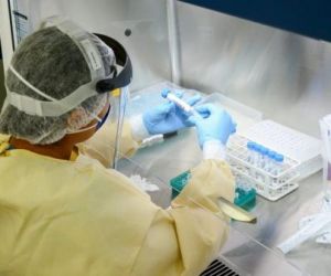 Consórcio Nordeste pede prorrogação do estado de calamidade por mais 180 dias