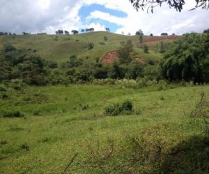 Governo estabelece valor do hectare de terra para regularização fundiária em 2018