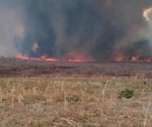 Bombeiros tentam controlar incêndio que já dura 26 dias em Curimatá e mais focos no Piauí