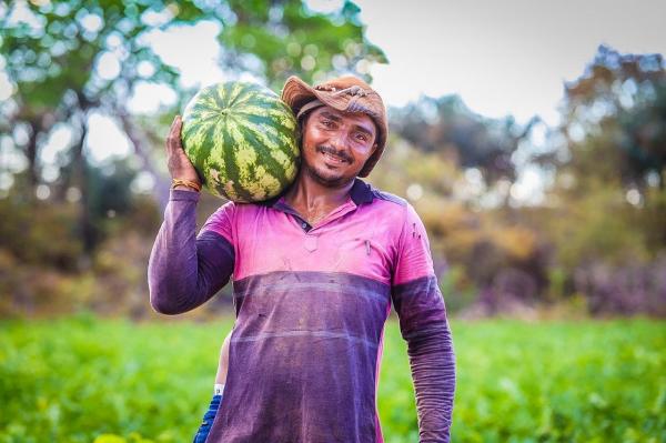 Programa Fomento Rural gera renda para famílias vulneráveis e impulsiona produtividade no Piauí