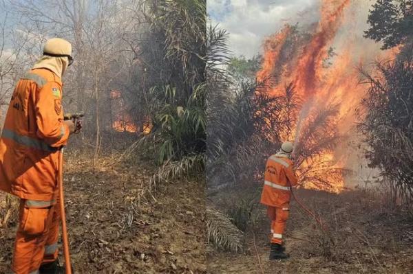 Bombeiros atuam no combate &agrave;s chamas em Cocal dos Alves, no Norte do Piau&iacute;.(Imagem: Divulga&ccedil;&atilde;o/CBMEPI)