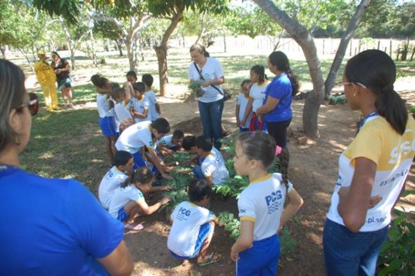  Os alunos conheceram as plantas que ir&atilde;o ornamentar pra&ccedil;as e avenidas de Floriano.(Imagem:Waldemir Miranda)