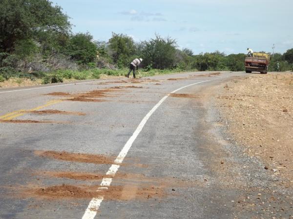Após dois meses de espera, amigos resolvem tapar buracos na PI 459