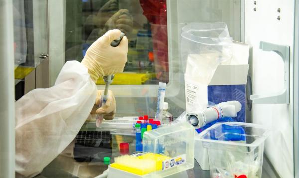 Brasil registra 3,3 milhões de casos e 107,2 mil mortes por covid-19