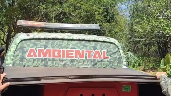 Suspeito de enforcar cachorro e abandonar corpo em área de mata é preso no Piauí