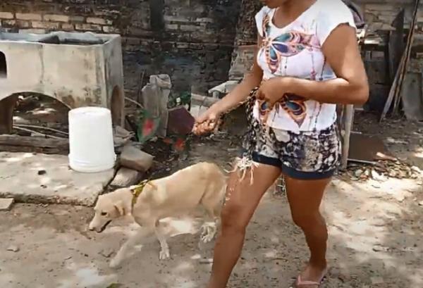 Homem é preso suspeito de "estuprar" cadela no Norte do Piauí
