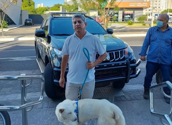 Homem é suspeito de estuprar cadela e levar animal ferido ao veterinário em Teresina