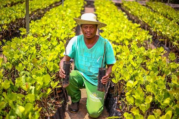 Senado aprova empréstimos de US$ 118 milhões para segurança hídrica e agricultura familiar no Piauí