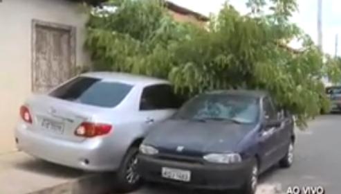 Homem rouba carro e derruba árvore durante perseguição na zona Norte