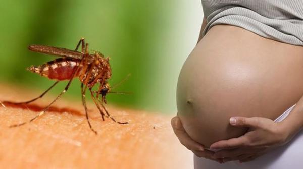 Exames de Zika serão obrigatórios para planos de saúde a partir desta semana