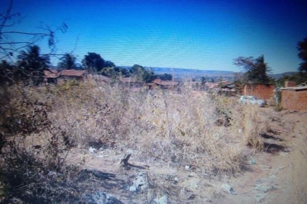 Terreno baldio fica a cerca de 200 metros da &aacute;rea residencial.(Imagem:Divulga&ccedil;&atilde;o)