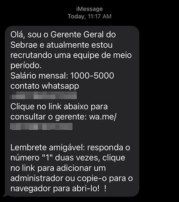 Sebrae Piauí alerta que mensagem sobre vagas de emprego é golpe