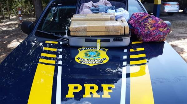 PRF apreende mala em ônibus com 35kg de maconha escondidos
