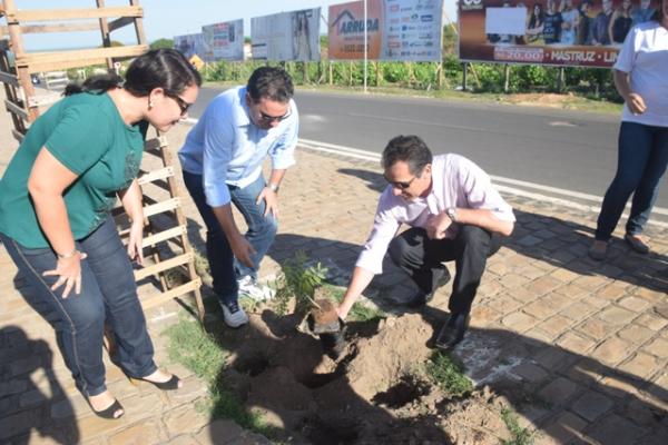  Secretaria de Meio Ambiente inicia projeto de arboriza&ccedil;&atilde;o da cidade.(Imagem:Secom)