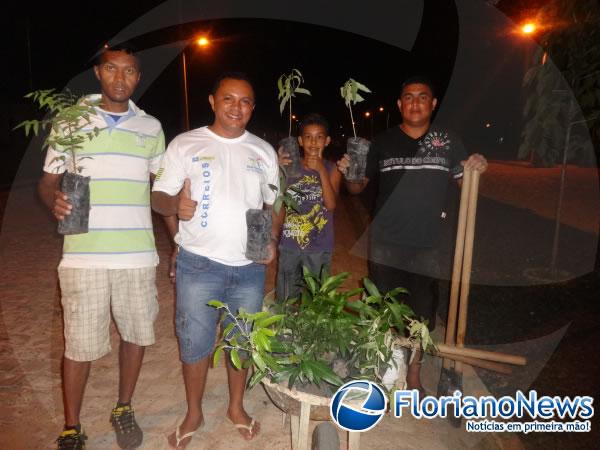 Plantio de &aacute;rvores no Conjunto Habitacional Filadelfo Freire de Castro.(Imagem:FlorianoNews)