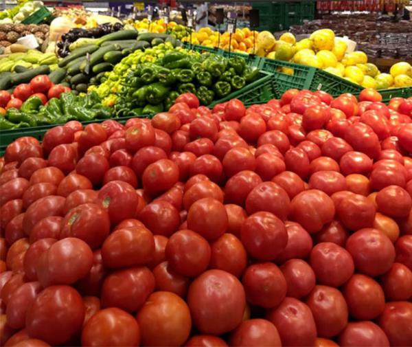 Chuvas causam escassez de tomate no mercado e preço sobe quase 150%