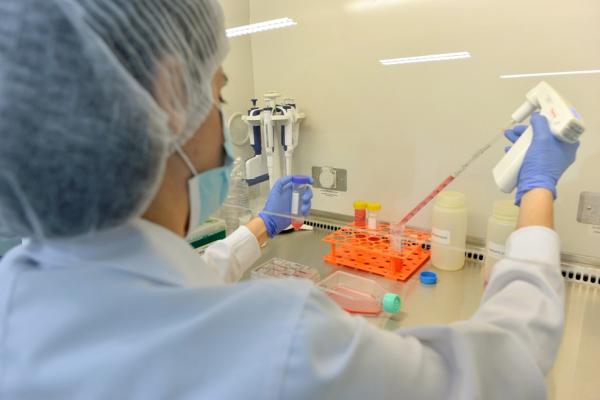 Piauí registra 195 casos confirmados e dois óbitos por Covid-19 nas últimas 24 horas