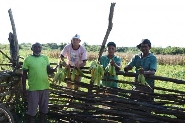 agricultores(Imagem:Divulga&ccedil;&atilde;o)