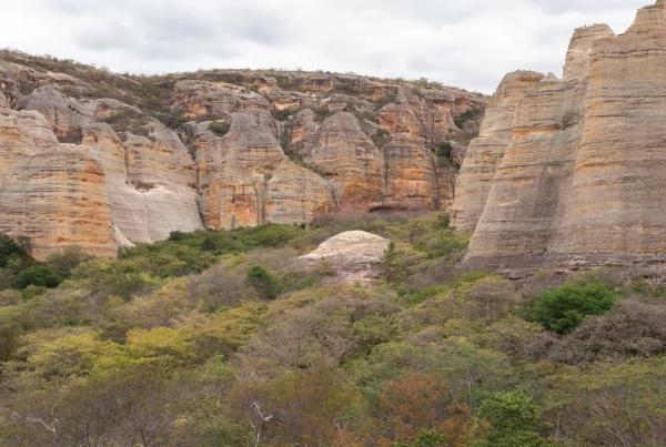 Secretaria nega licenciamento de fazenda de soja no corredor ecológico Serra da Capivara
