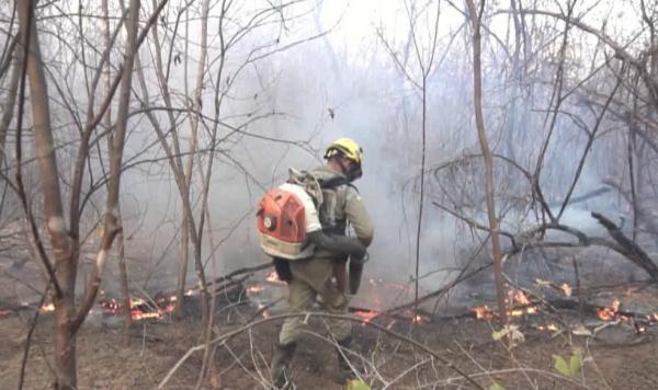 Piauí é o estado do Brasil com mais focos de incêndio em setembro, aponta Inpe