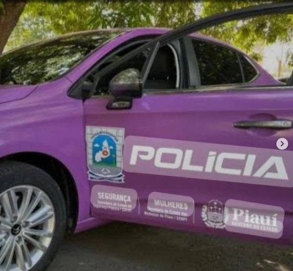 Intervenção da Patrulha Maria da Penha garante segurança em caso de violência doméstica em Floriano