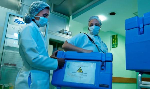 Entenda como funciona a autorização eletrônica para doação de órgãos