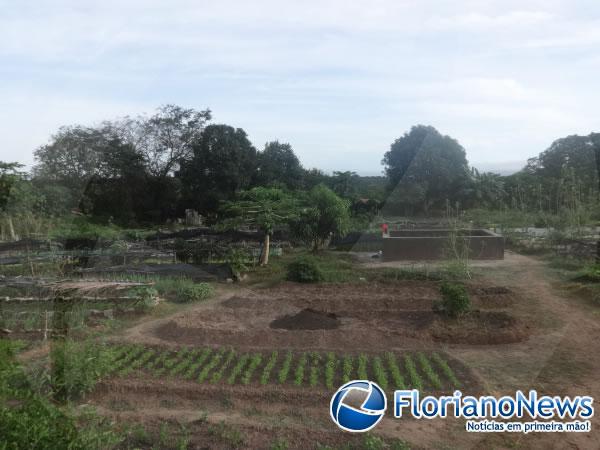 Horticultores cobram provid&ecirc;ncias para o problema da bomba na horta do bairro Alto da Cruz.(Imagem:FlorianoNews)